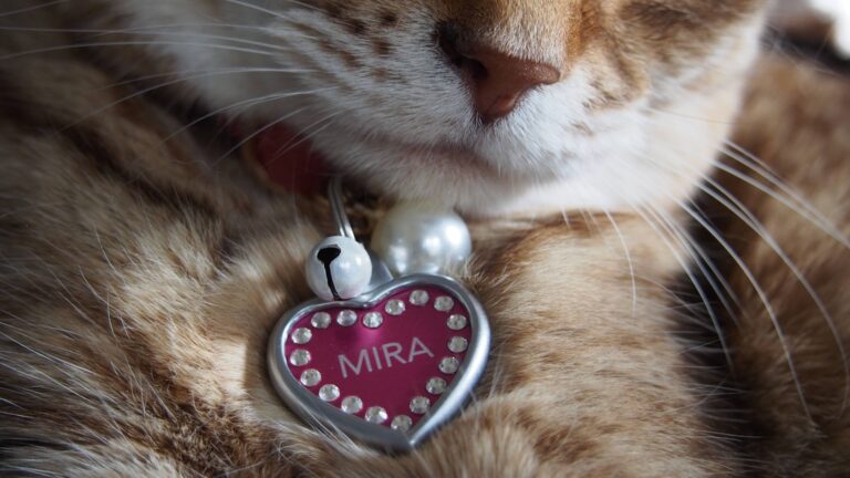 ID tag