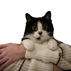 抱っこ